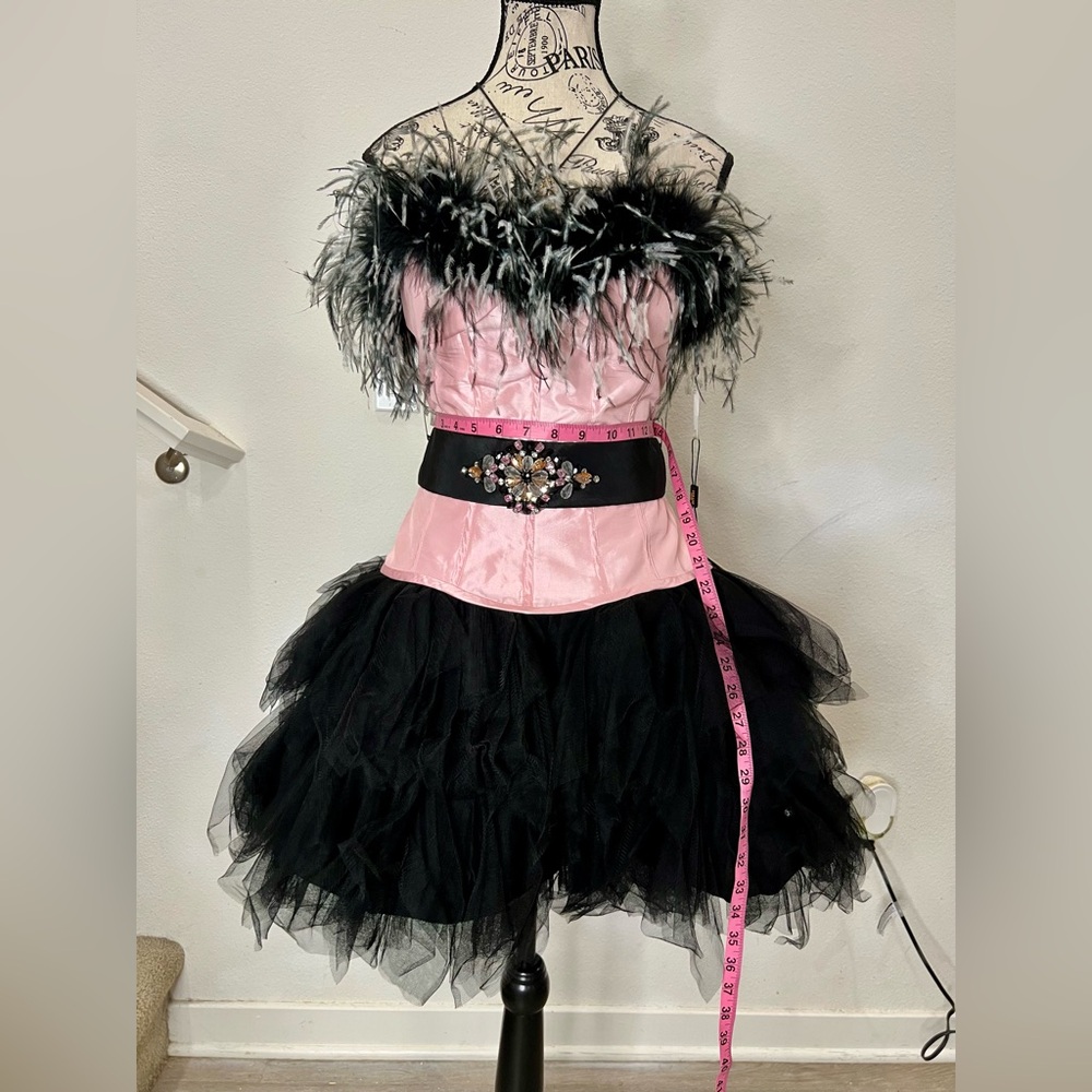 Pink and Black Feathered Dress